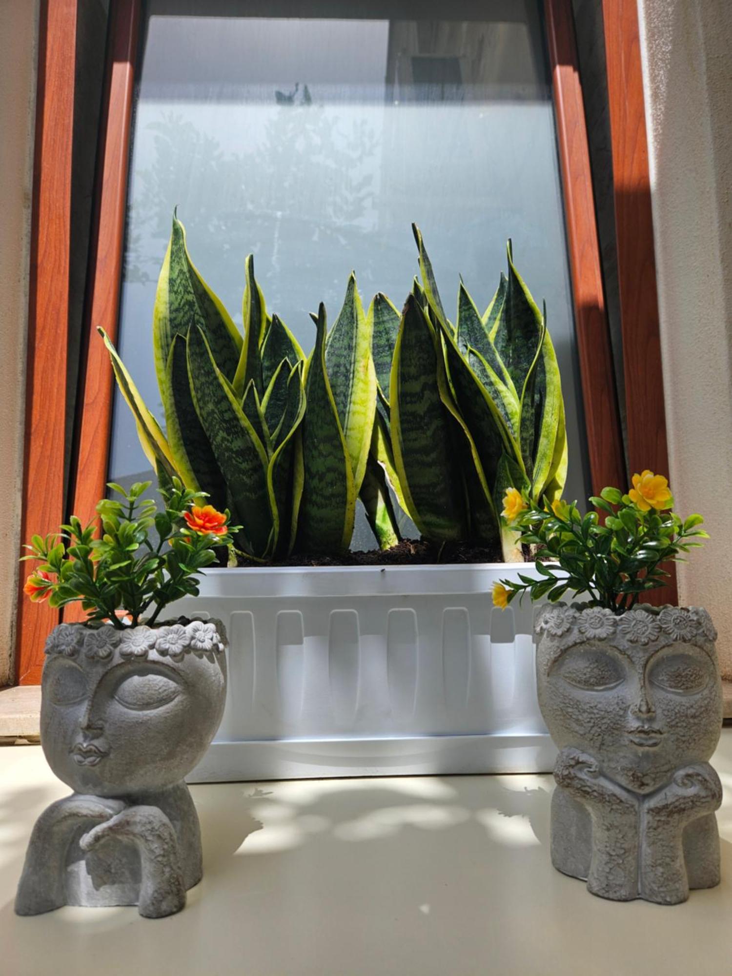 Guru House B&B Apartments Milazzo Exterior photo